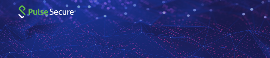 Pule Secure Remote Access